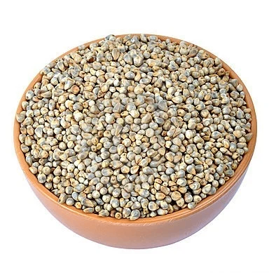 Pearl Millet (Bajra)